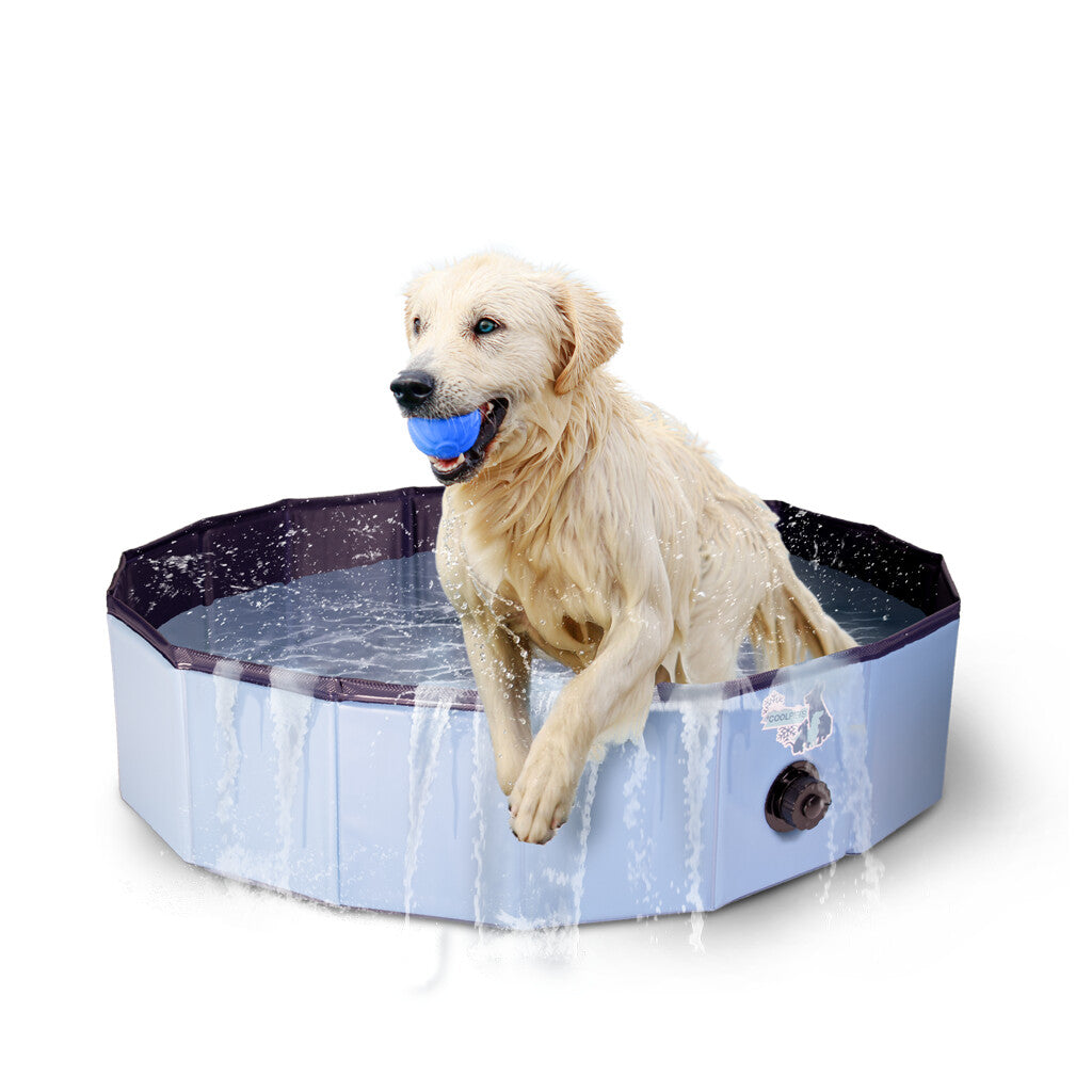 Basen dla psów CoolPets 120 cm x 30 cm