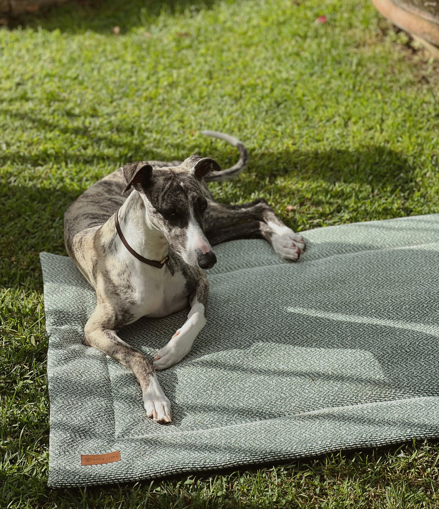 Mata Outdoor Powiew Zieleni