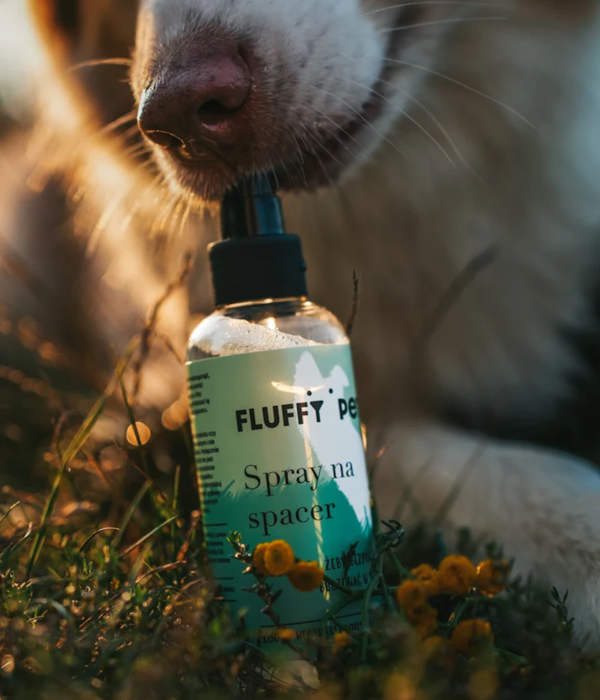 Spray na spacer 150 ml