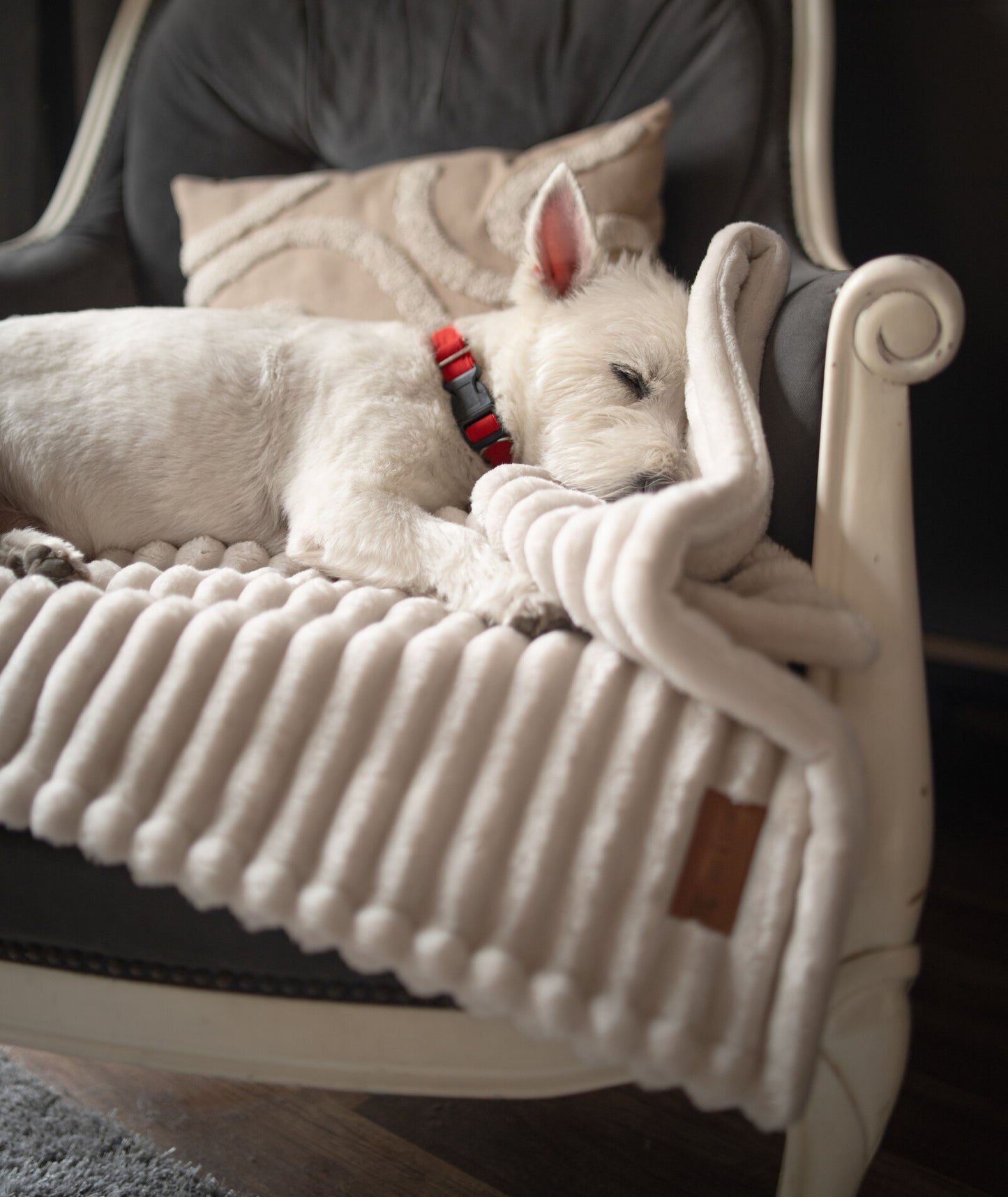 Fluffy blanket for a dog COZY TIME