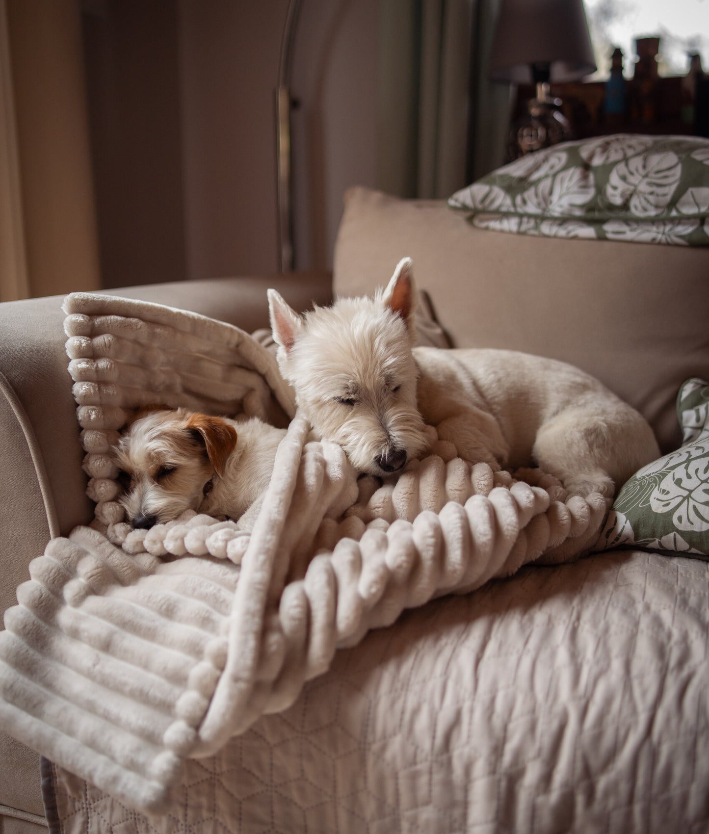 Fluffy blanket for a dog COZY TIME