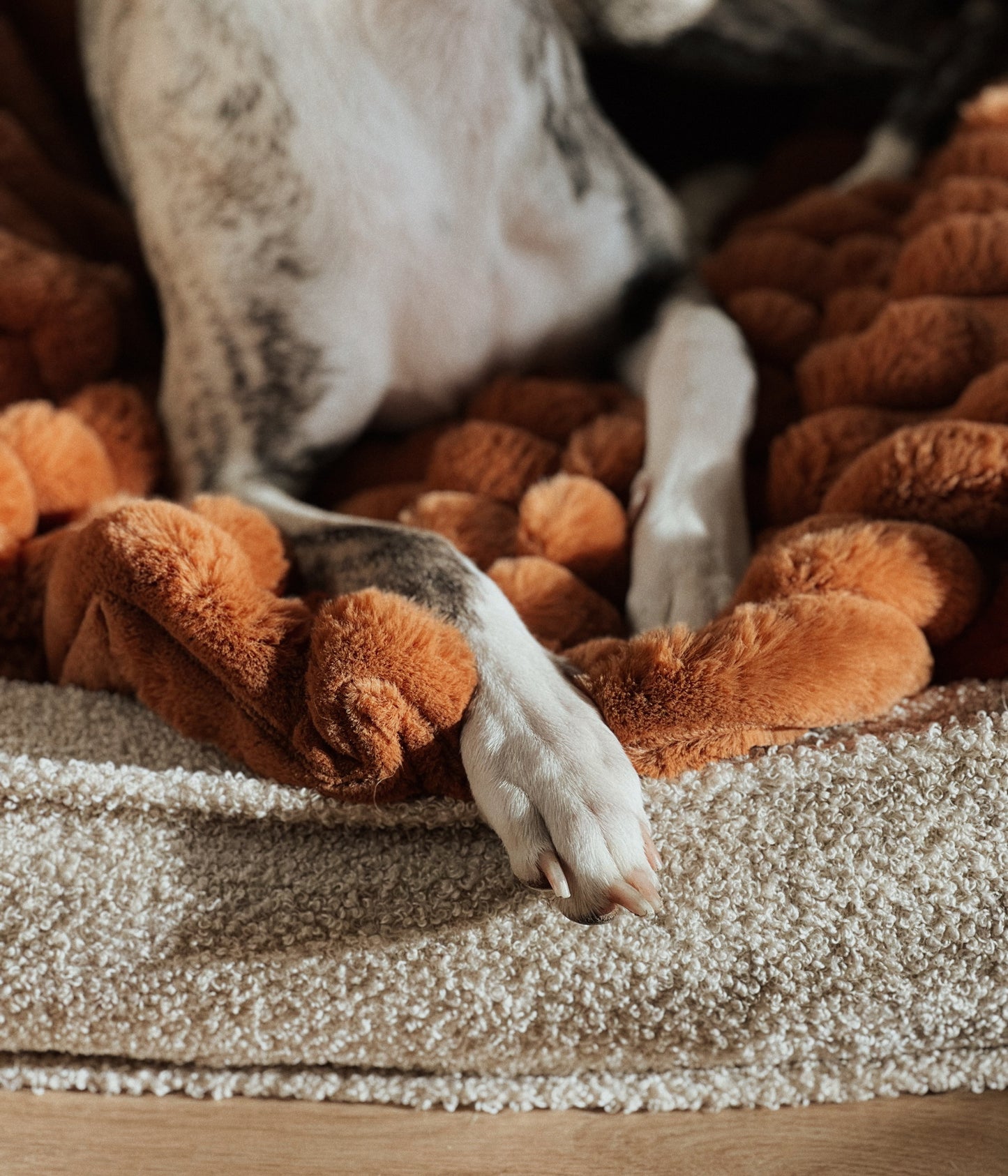 Fluffy blanket for a dog COZY TIME