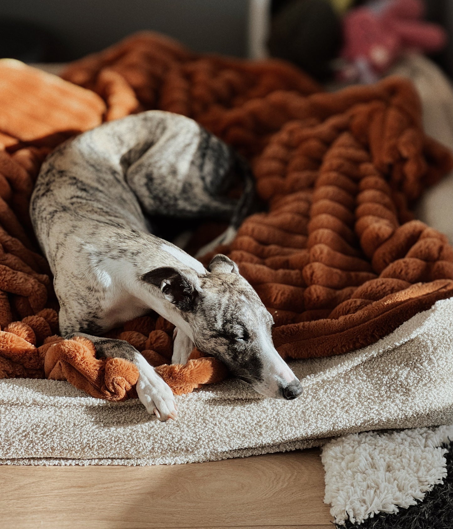 Fluffy blanket for a dog COZY TIME