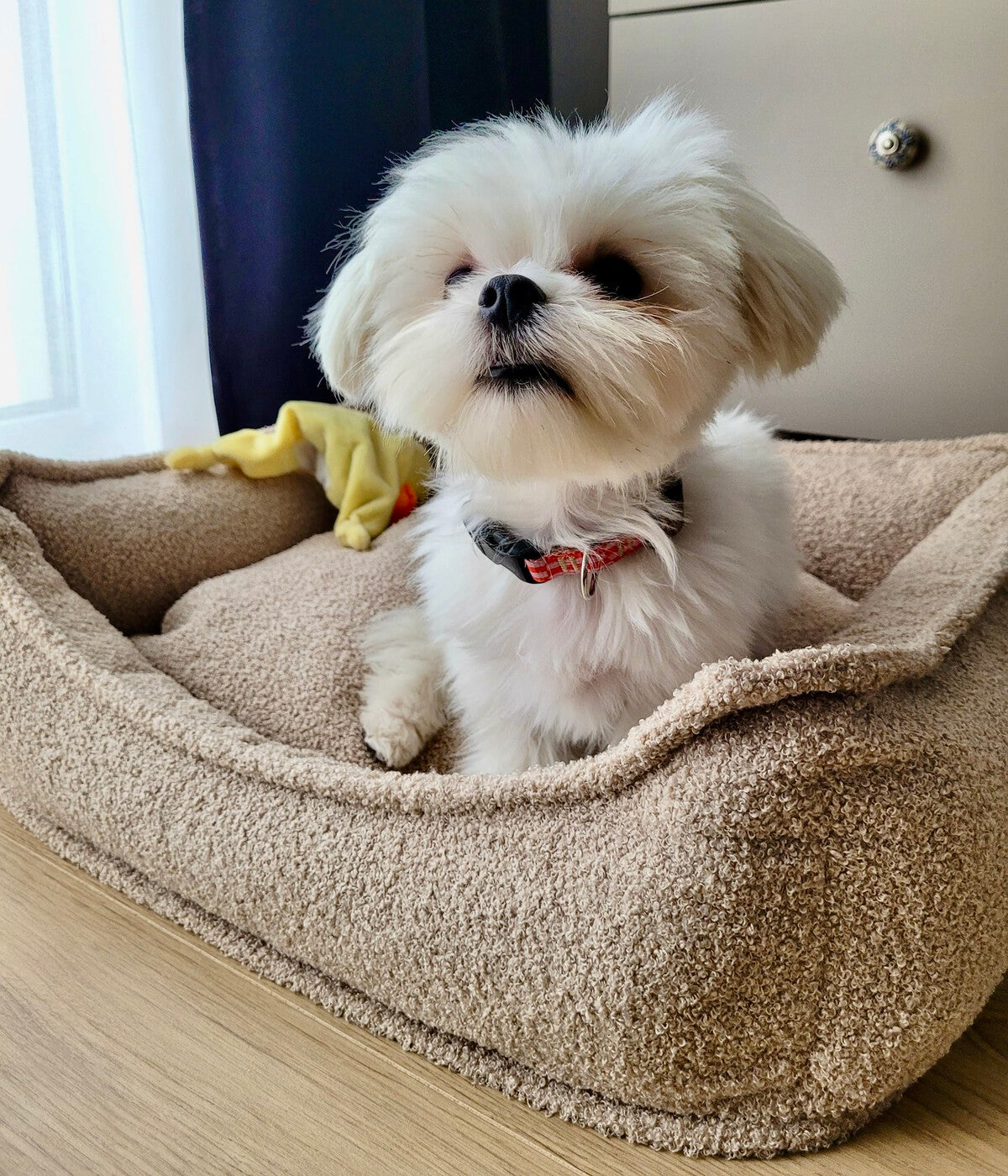 Legowisko Baranek w kolorze KOKOSOWYM