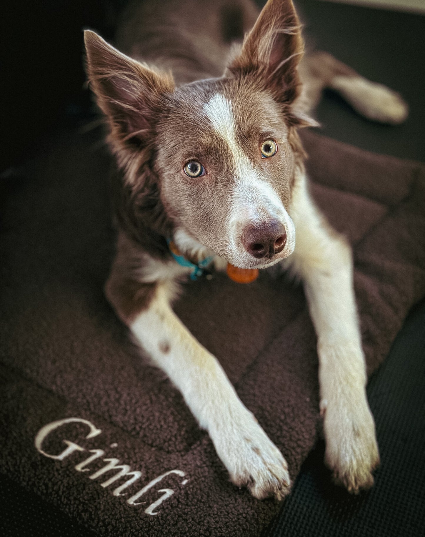 Wielozadaniowa mata baranek GORZKA CZEKOLADA