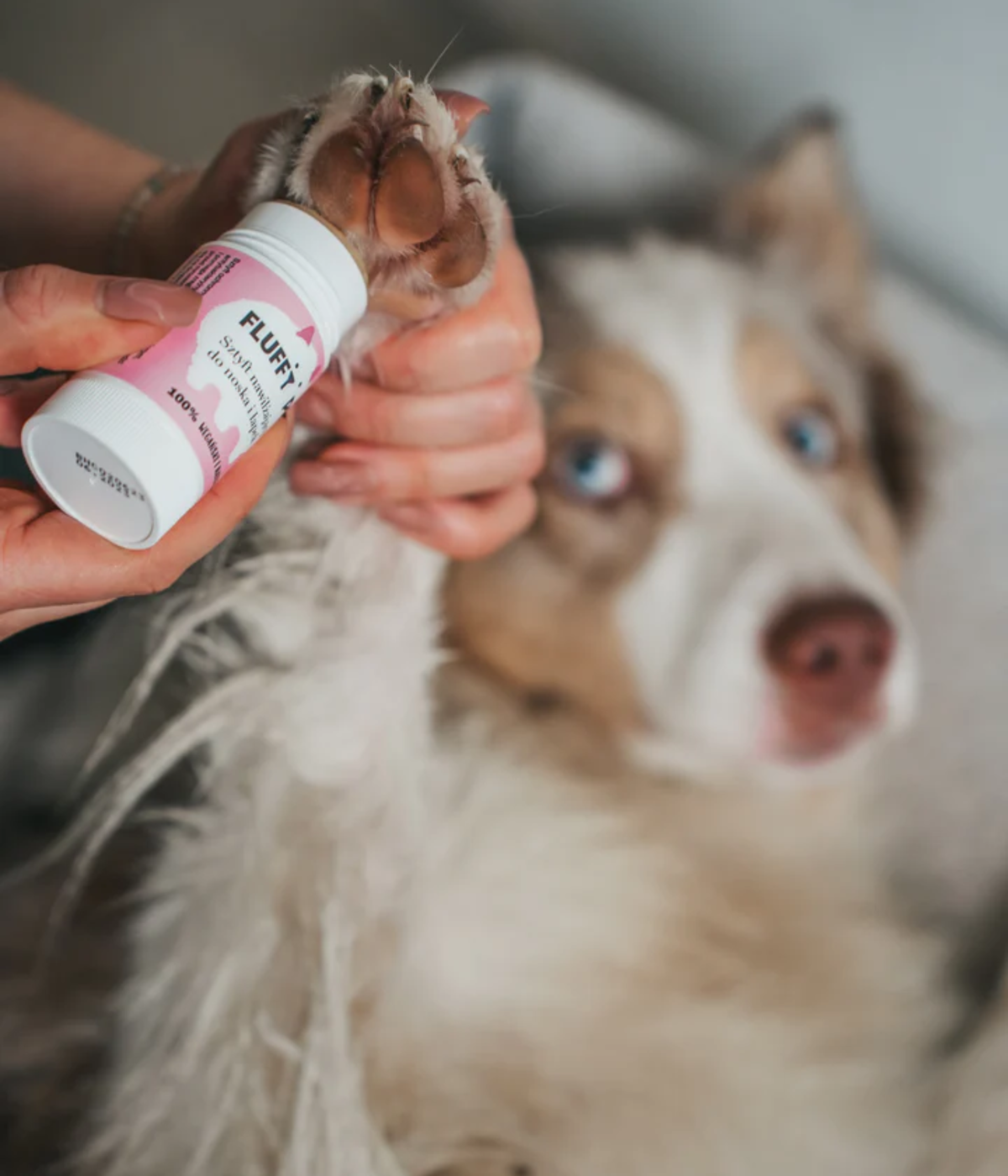 Moisturizing Stick for Dogs for Paws and Nose 23 ml