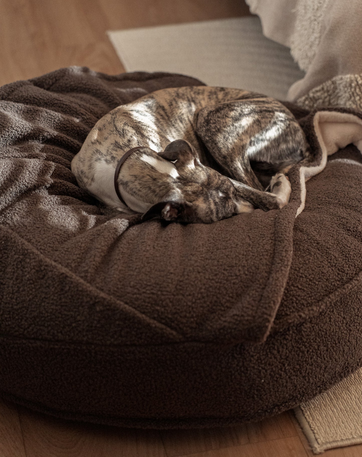Corduroy bed Classic in cappuccino color