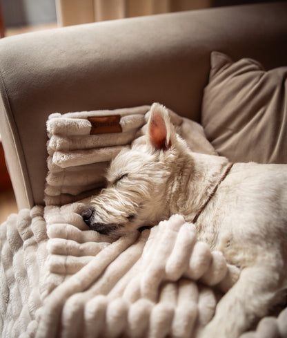 Puchaty kocyk dla Psiego Człowieka COZY TIME