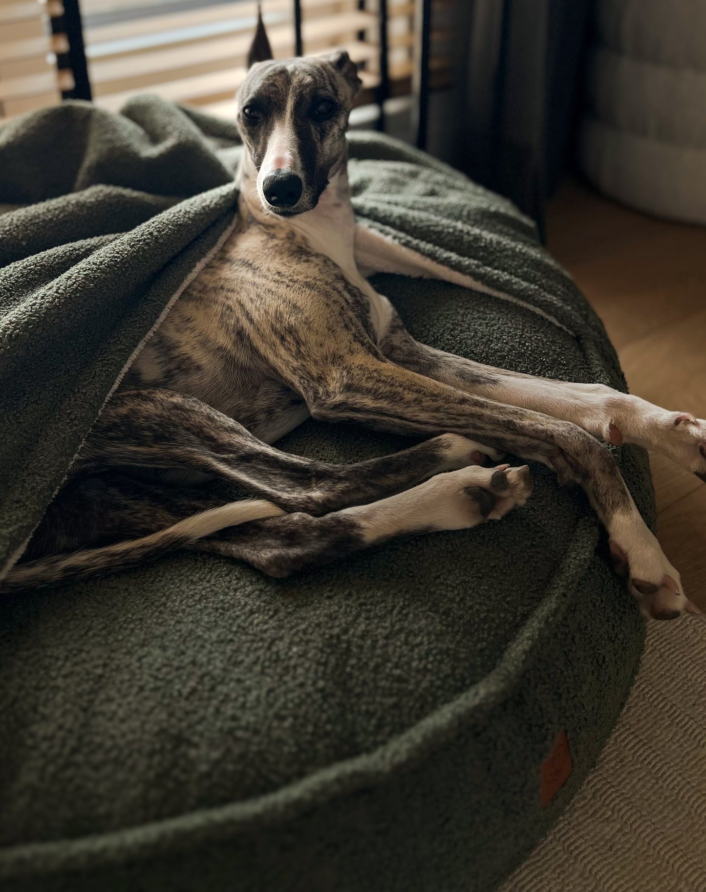 Legowisko Norka Baranek ze zdejmowanym pokrowcem w kolorze MOCNA MATCHA