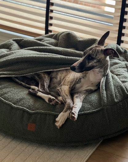 Legowisko Norka Baranek ze zdejmowanym pokrowcem w kolorze MOCNA MATCHA