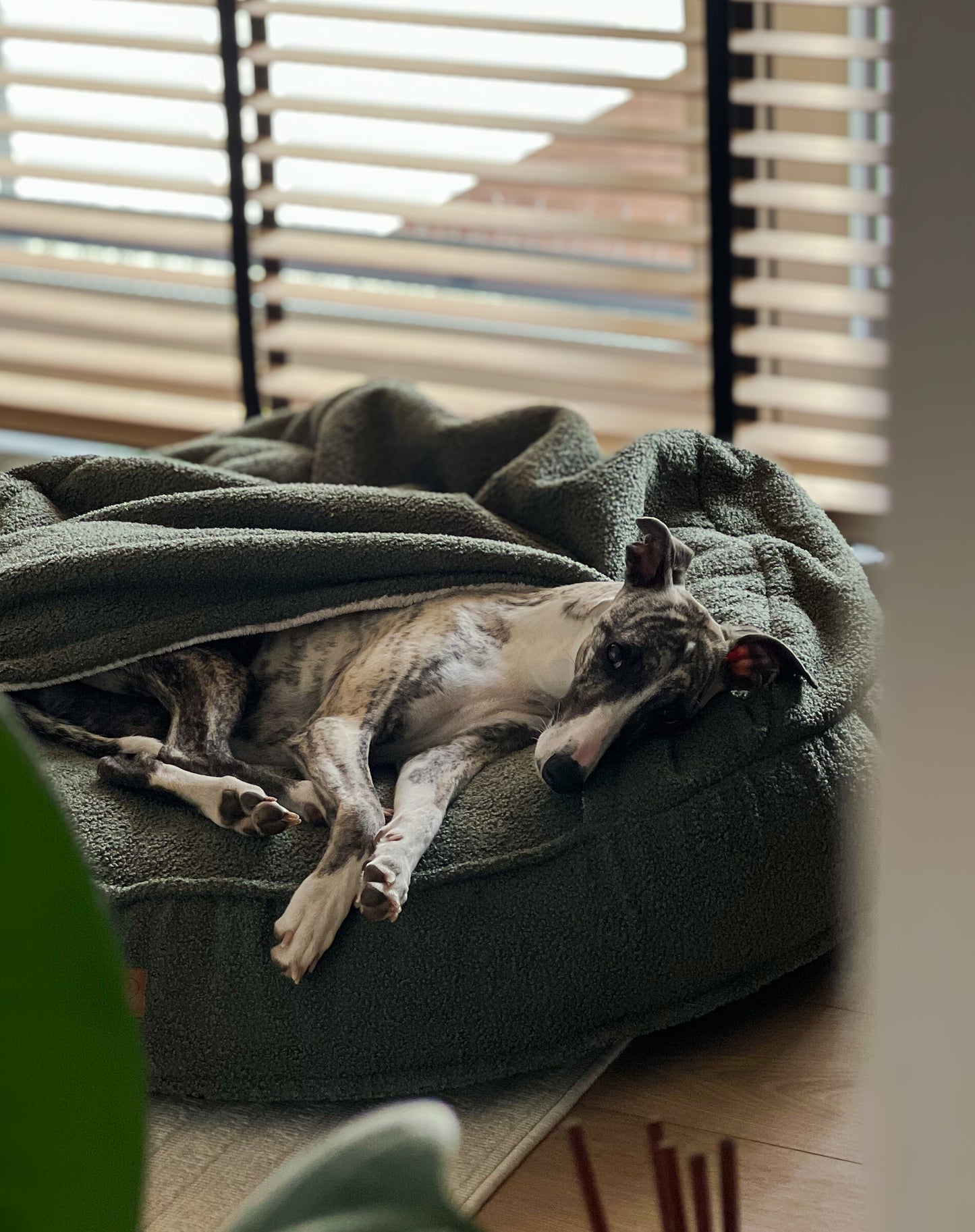 Legowisko Norka Baranek ze zdejmowanym pokrowcem w kolorze MOCNA MATCHA