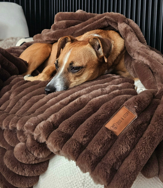 Fluffy blanket for a dog COZY TIME