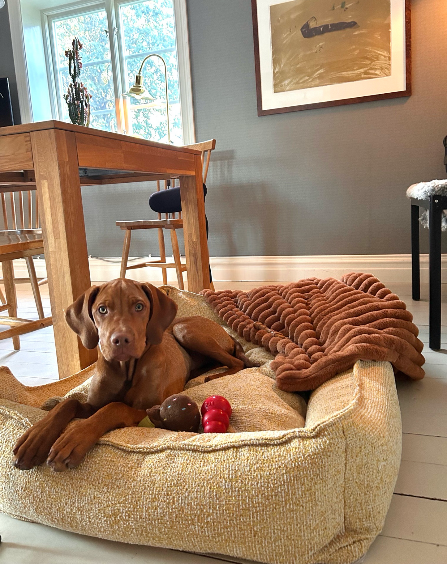 Corduroy bed Classic in cappuccino color