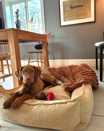 Corduroy bed Classic in cappuccino color