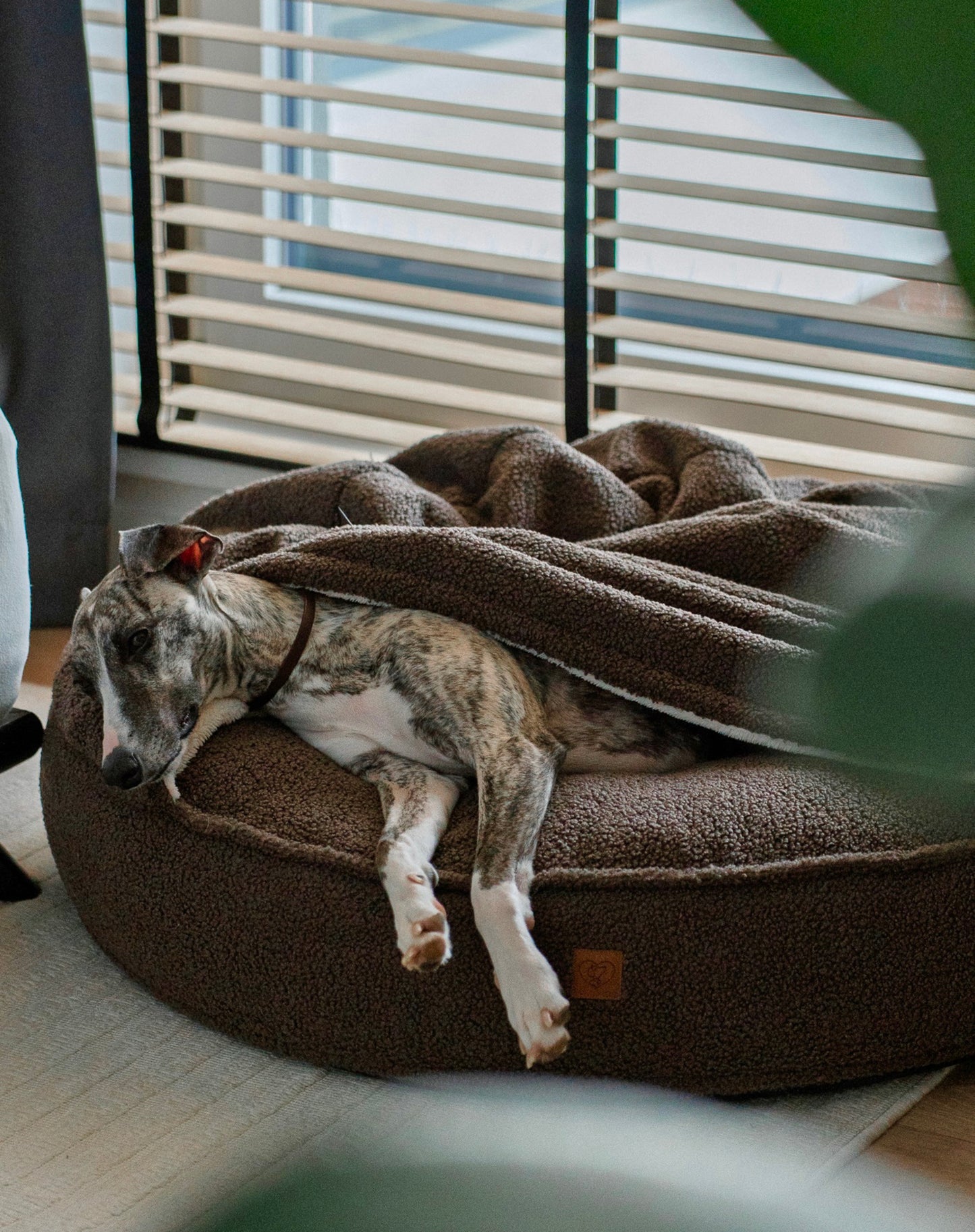 Corduroy bed Classic in cappuccino color