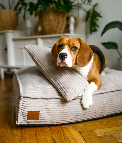 Corduroy bed Classic in cappuccino color