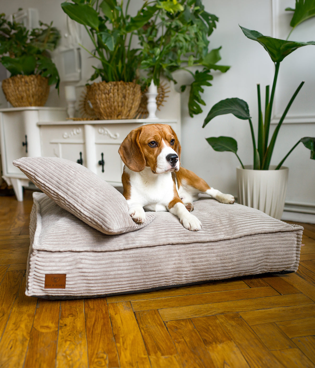 Corduroy bed Classic in cappuccino color