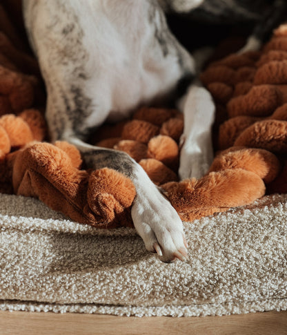 Fluffy blanket for a dog COZY TIME